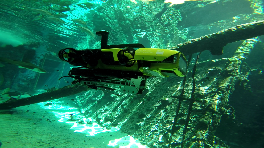The RangerBot autonomously identifies the starfish on the reef and provides a lethal injection. (Credit: Matt Dunbabin)